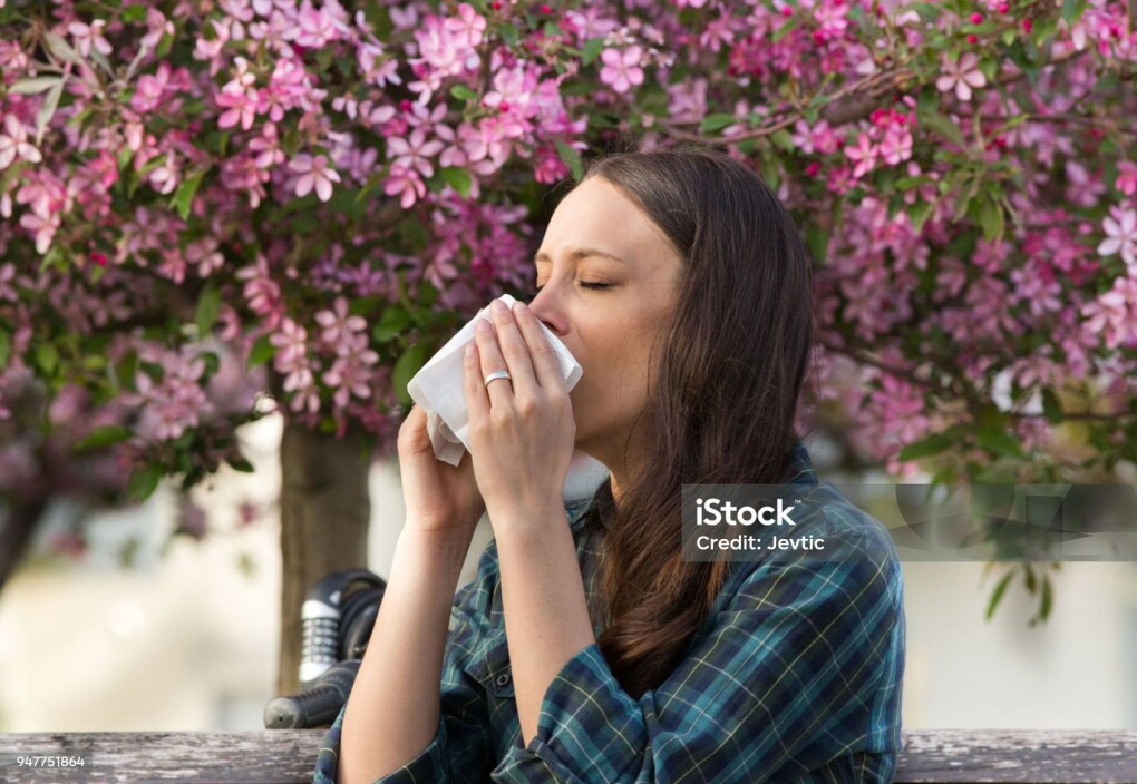 391cc7ff-9040-4c6e-aade-a4e2714995ce