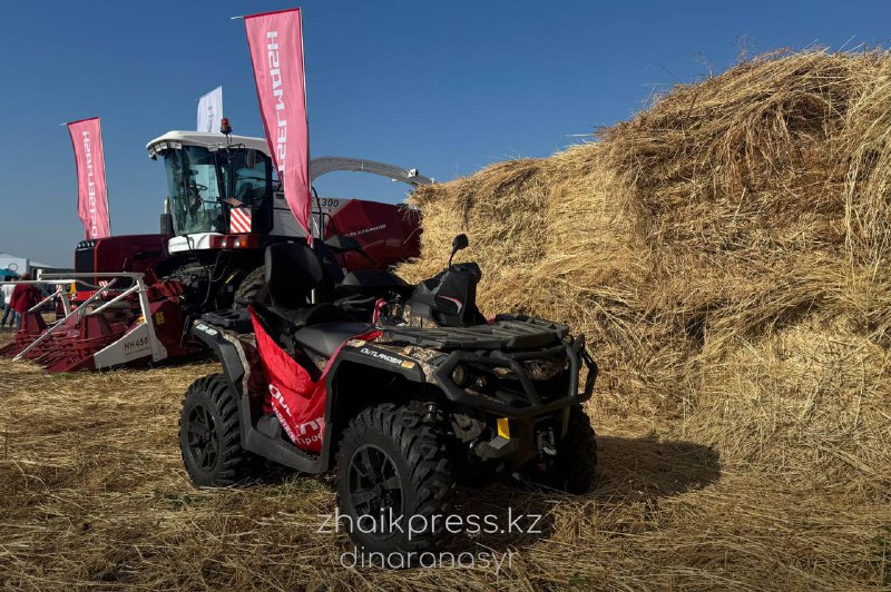 Жп агрофест 2025