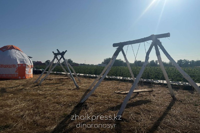 Жп агрофест 2025