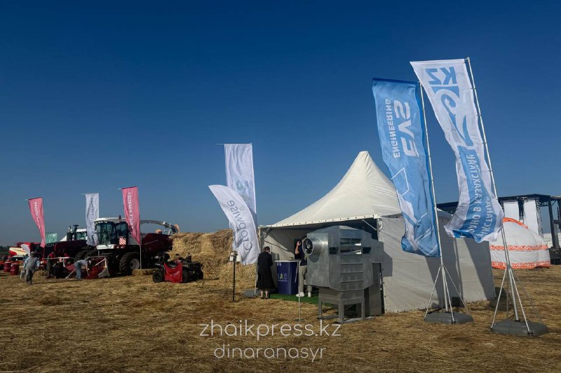 Жп агрофест 2025