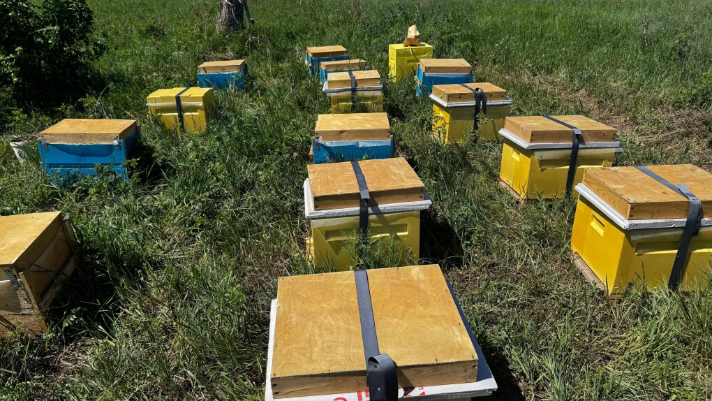 5e831349-ef43-4bad-a3cf-52fd2e91134f