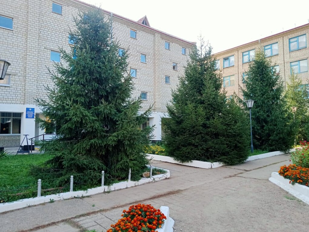 Бөрлі ауылы (2)