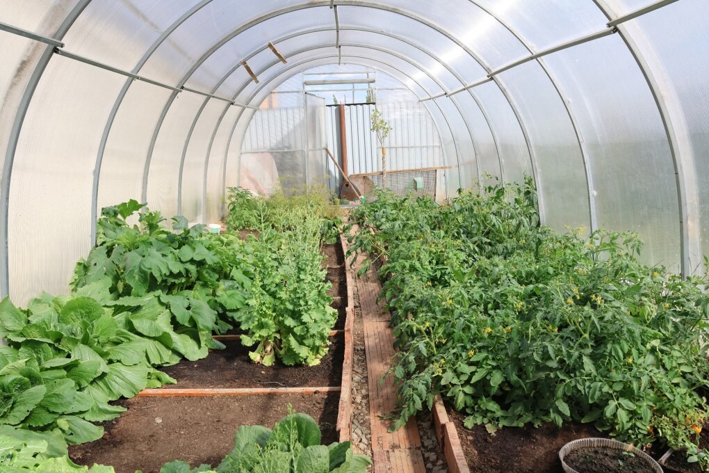 FB_IMG_1752488970830