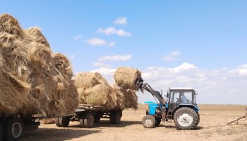 IMG-20250730-WA0062 (1)