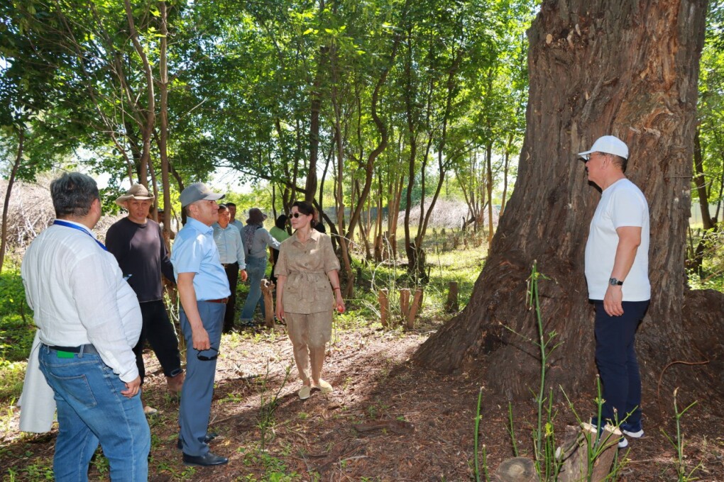 IMG_20250710_112520_016