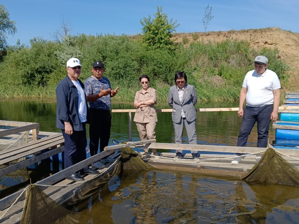 Утегулов (3)