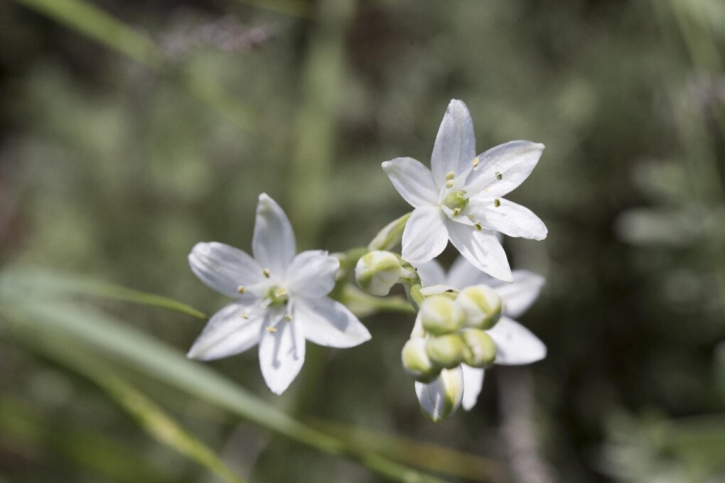 WhatsApp Image 2025-07-09 at 11.00.56