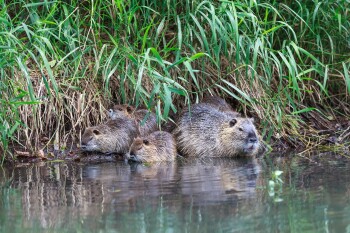 WhatsApp Image 2025-07-09 at 11.00.57 (1)