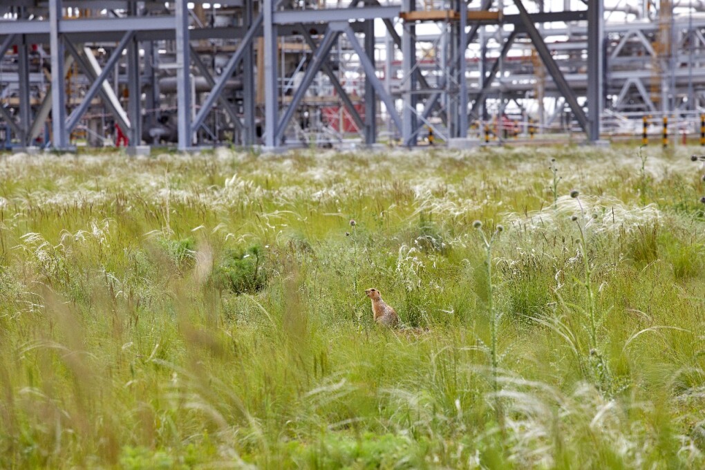 WhatsApp Image 2025-07-09 at 11.00.57