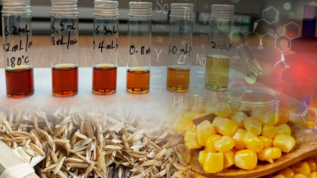 WhatsApp Image 2025-07-19 at 11.50.48