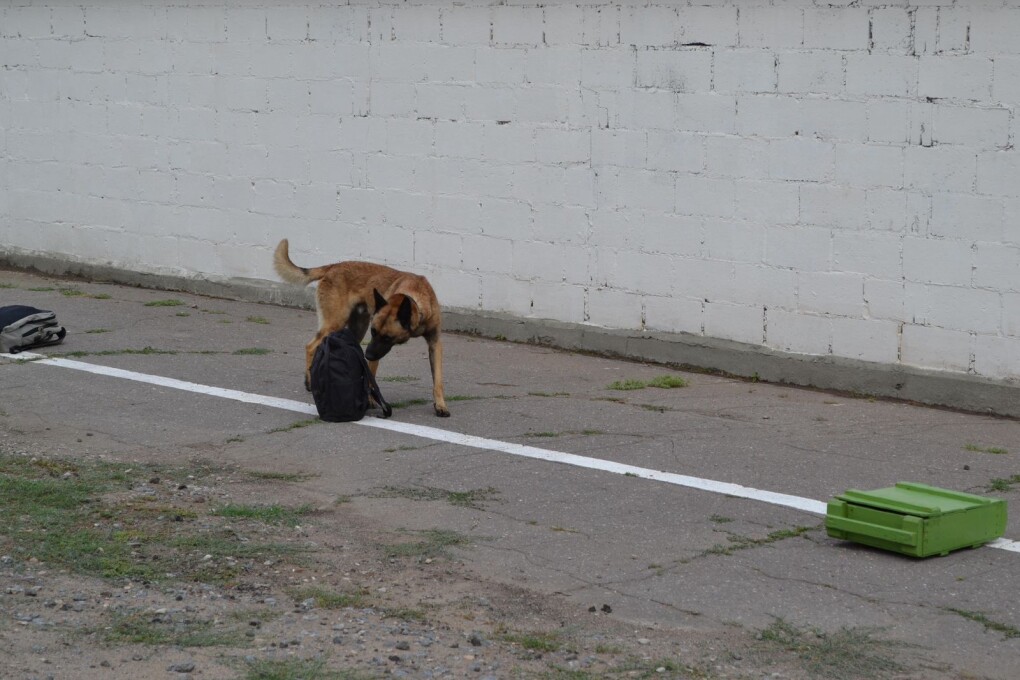 WhatsApp Image 2025-07-22 at 14.10.35