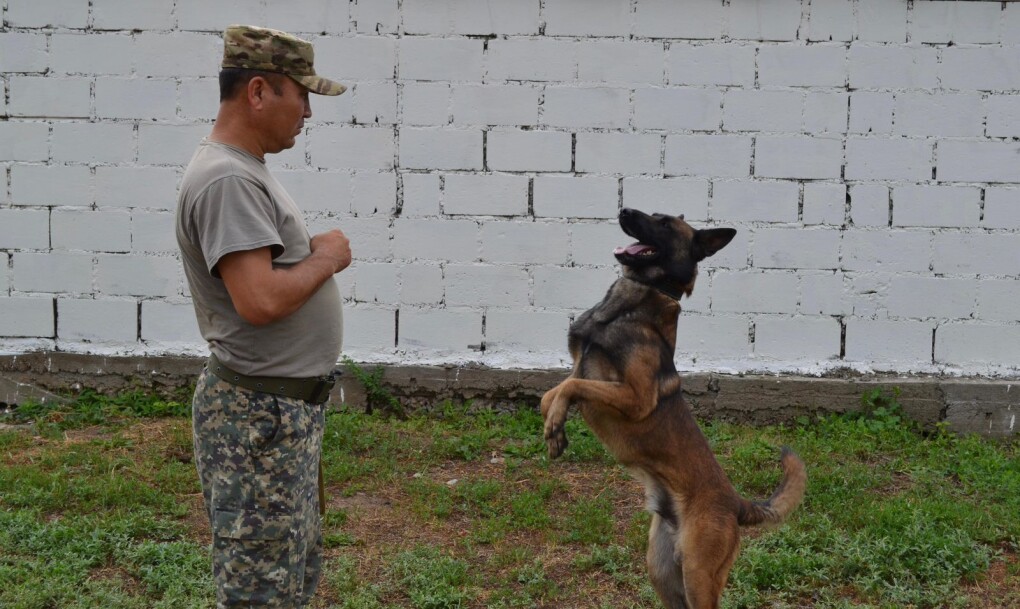 WhatsApp Image 2025-07-22 at 14.10.36 (1)