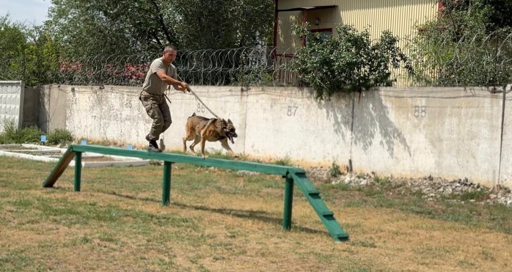 WhatsApp Image 2025-07-22 at 14.10.36 (2)