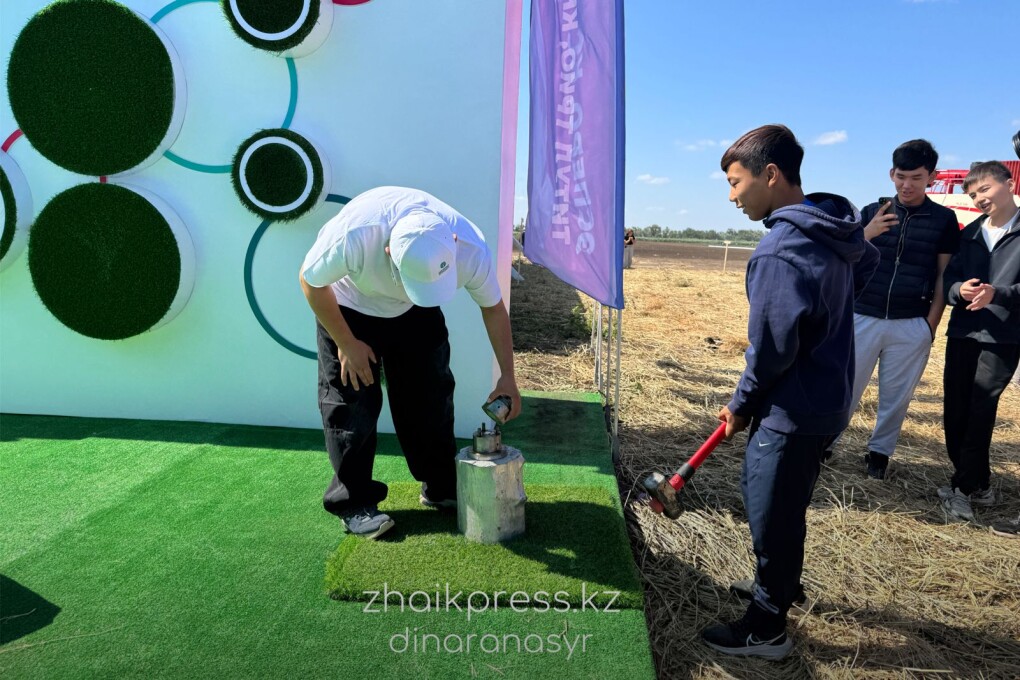 Жп агрофест 2025