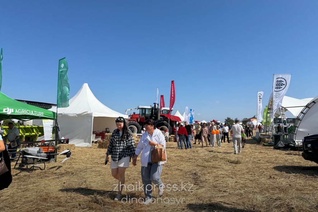 Жп агрофест 2025