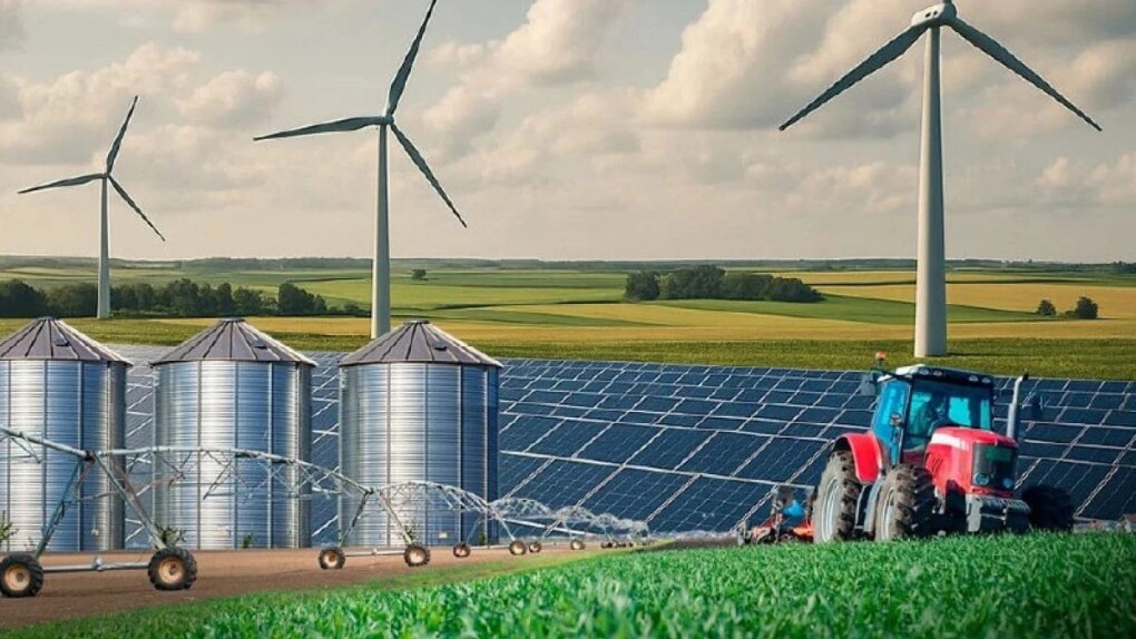 WhatsApp Image 2025-07-28 at 10.57.14