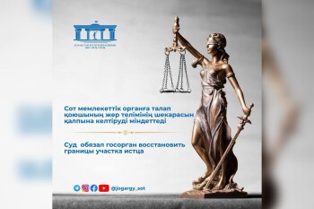 WhatsApp Image 2025-07-29 at 11.30.32