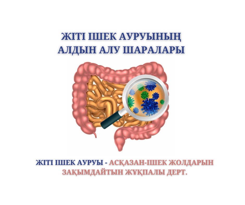 WhatsApp Image 2025-07-30 at 15.51.26