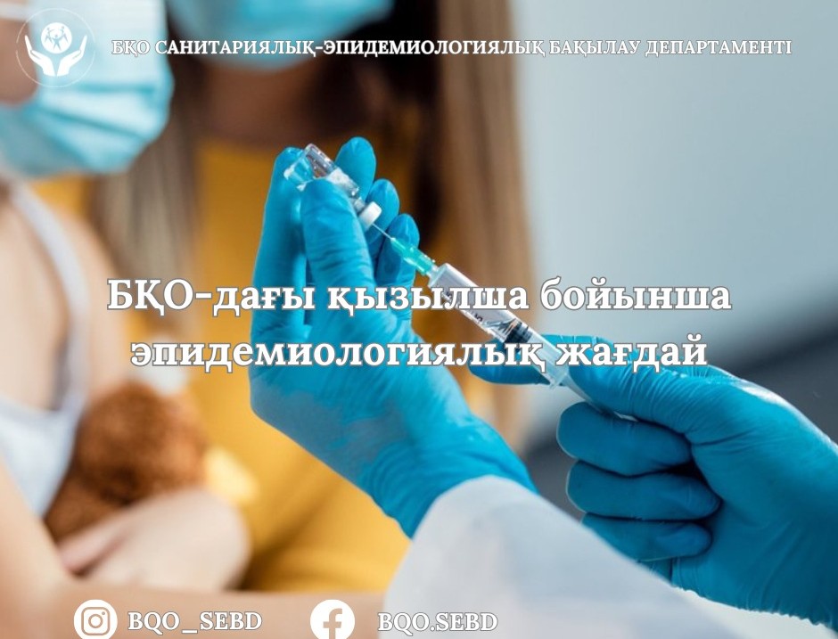 WhatsApp Image 2025-07-30 at 15.56.50