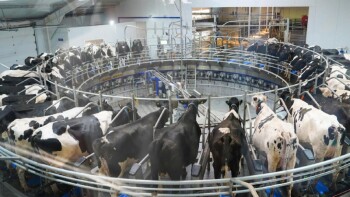 aa3bcab0-5fe8-41a2-a3c6-8bbd8951867e