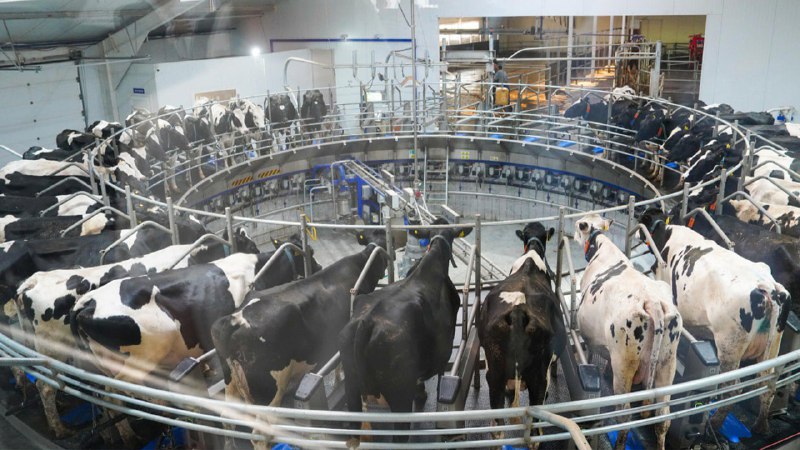 aa3bcab0-5fe8-41a2-a3c6-8bbd8951867e