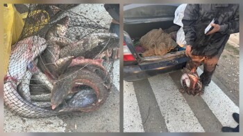 aaa18daa-9487-4452-9bc5-55bf6e769fc8