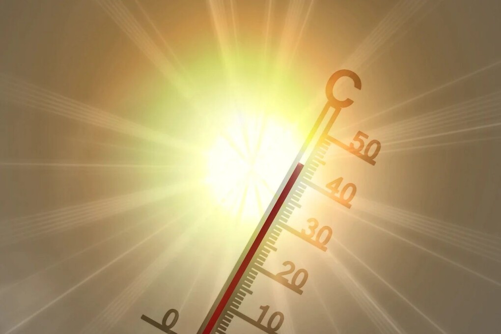 d69a3f04-c8e6-4fbc-8687-9257545900f4