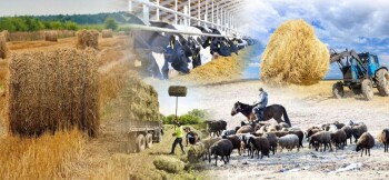 _gluster_2025_5_26_e836f9edf2d713e3a6147adbb685d2b2_1280x720