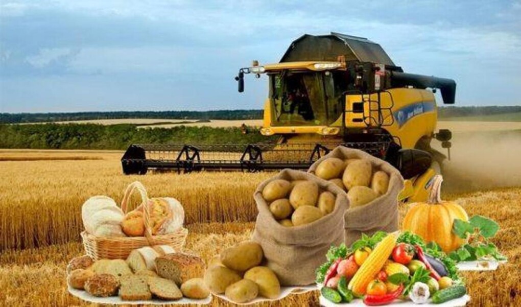 _gluster_2025_7_10_ecd2d5cac6cd788cea3ed1d041f24a44_1280x720