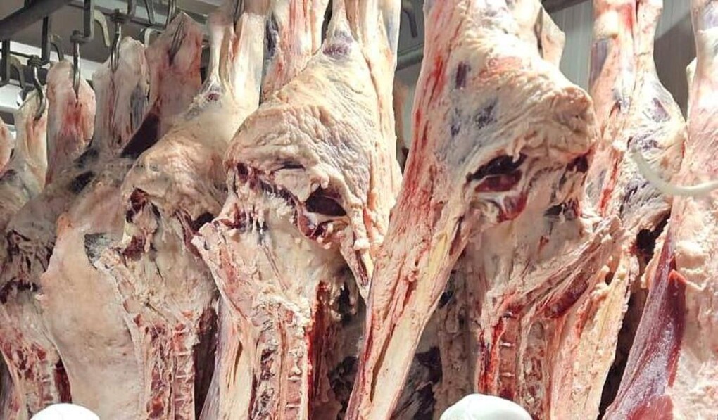 _gluster_2025_7_19_b5ae3da849ffc9ed78dbf66b21430a06_1280x720