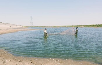 _gluster_2025_7_24_d73360fe6b46fa89c04c954a933f2014_1280x720