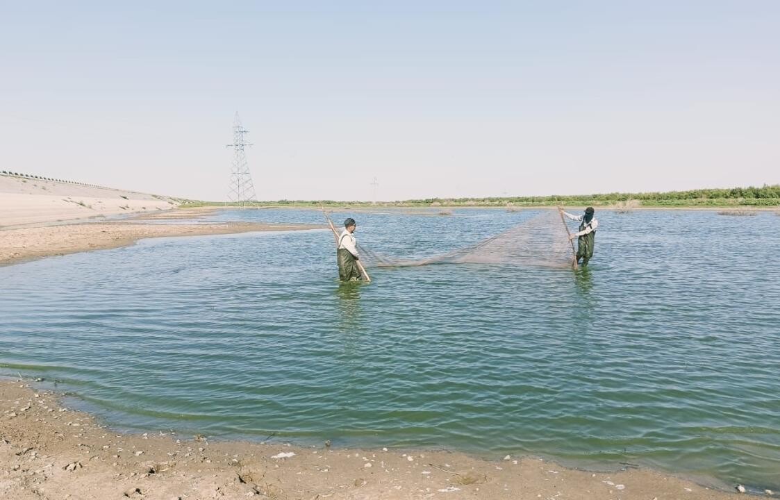 _gluster_2025_7_24_d73360fe6b46fa89c04c954a933f2014_1280x720