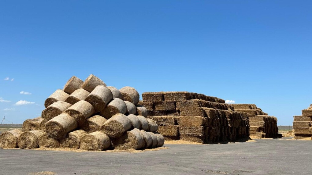 _gluster_2025_7_26_9a4126e035b4263e538950d5ae4acfbf_1280x720