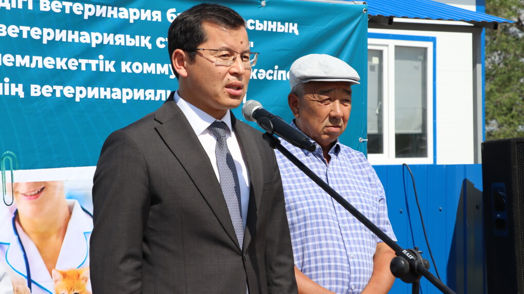 image-06-07-25-01-31-7