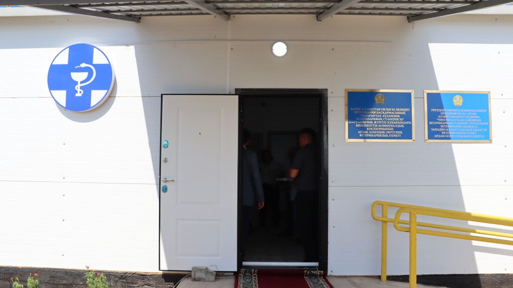 image-06-07-25-01-31