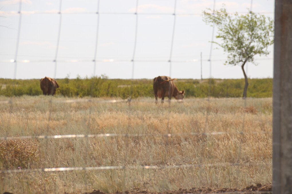 image-10-07-25-01-40-4