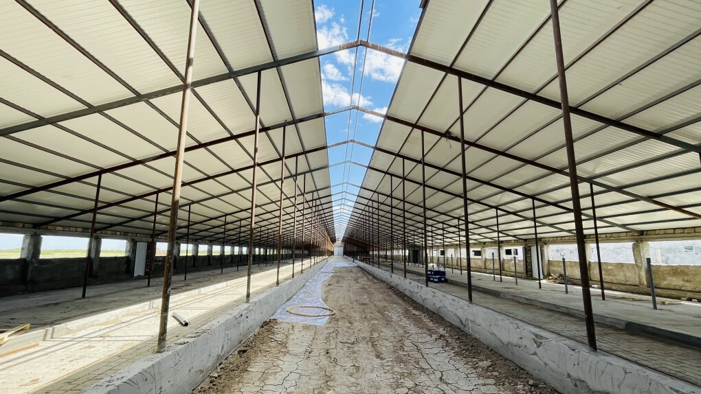 image-10-07-25-04-20