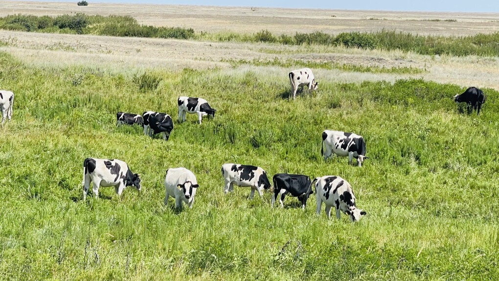 image-10-07-25-04-21