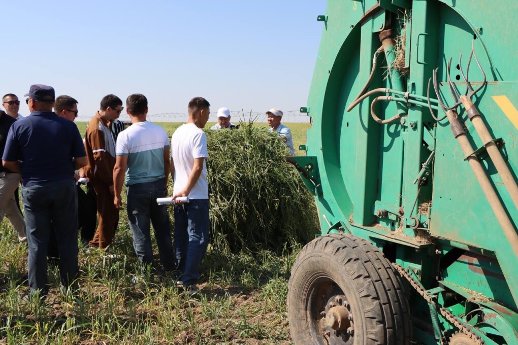 image-20-07-25-05-16-1