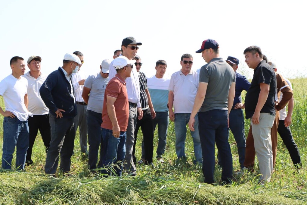 image-20-07-25-05-16-2