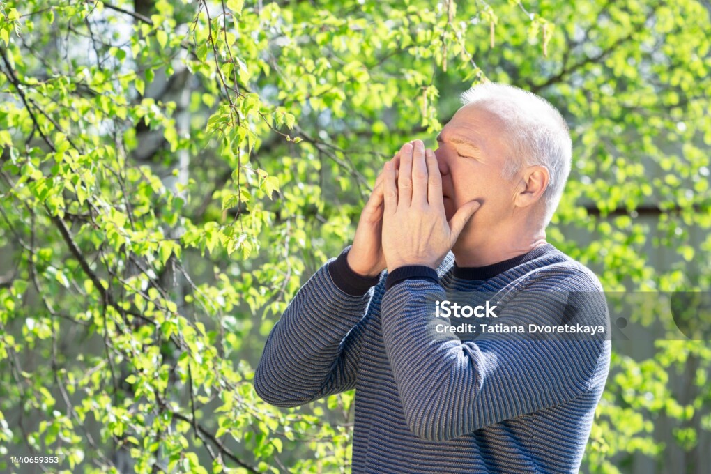 An elderly man sneezes covering his nose with his palms while standing next to trees on a sunny spring day