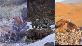 photo_131062.j111111