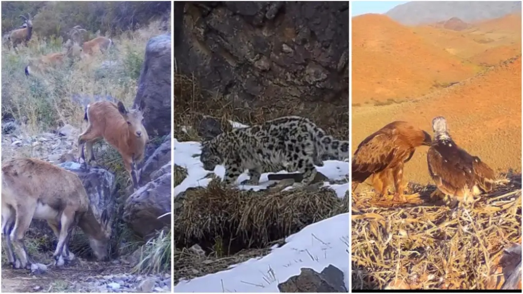 photo_131062.j111111