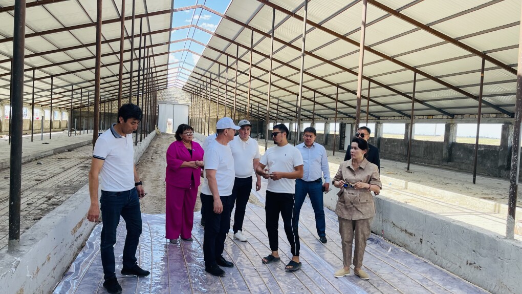 сенатор - сырым (2)