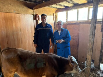 ветеренария - семья