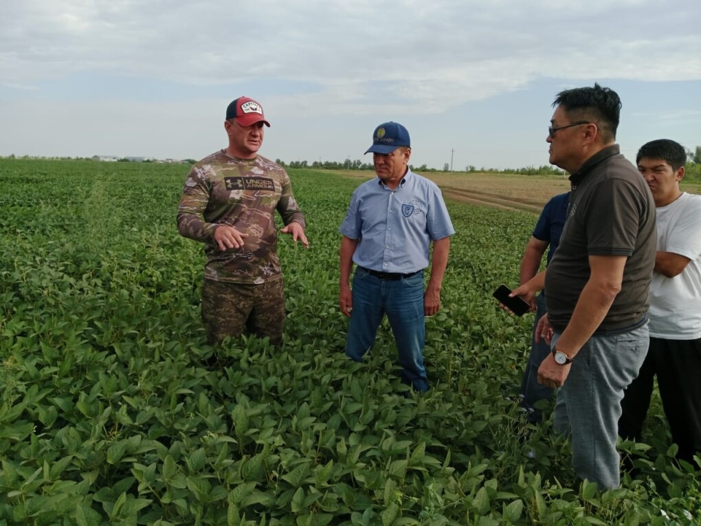 зам аким - в районе байтерек (1)