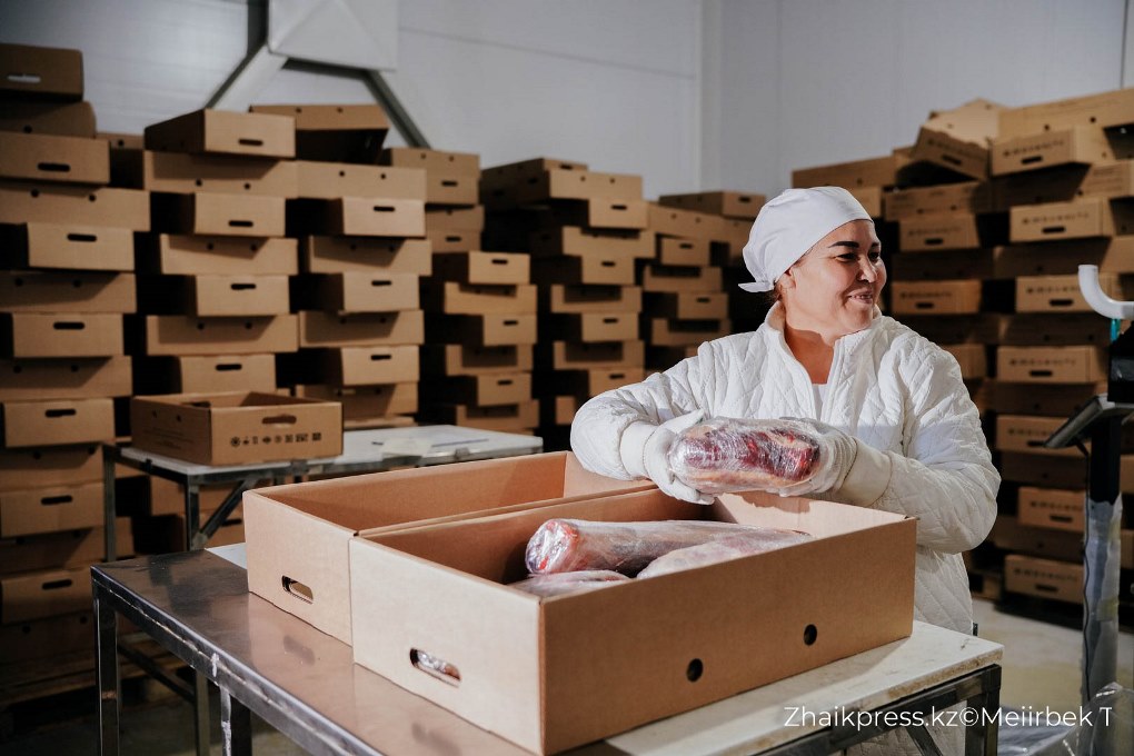 жп казак виллидж согым (8)