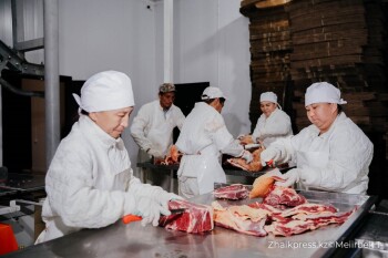 жп казак виллидж согым (9)