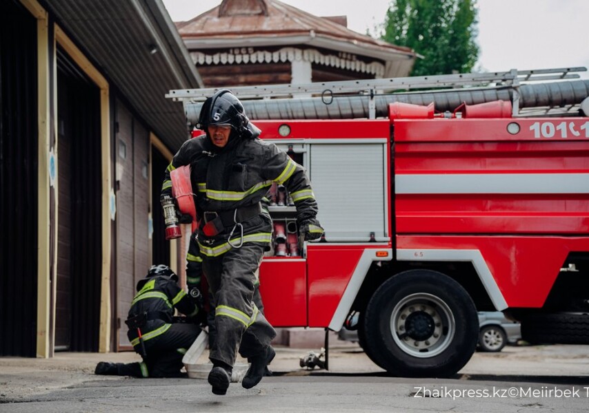 Шрек 3 секс мультфильмі