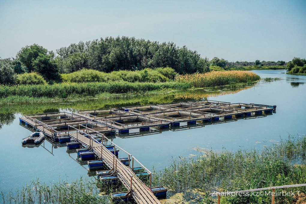 жп qazaq village (1)
